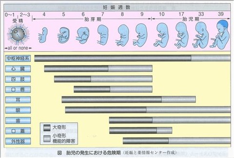 taiji
