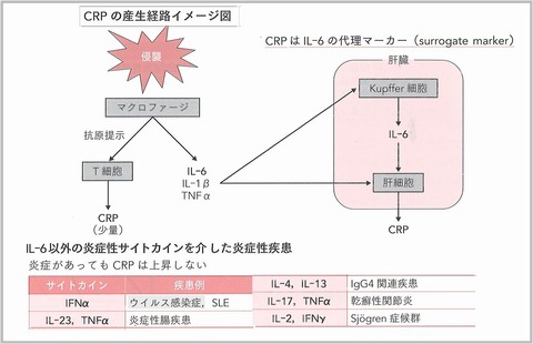 CRP