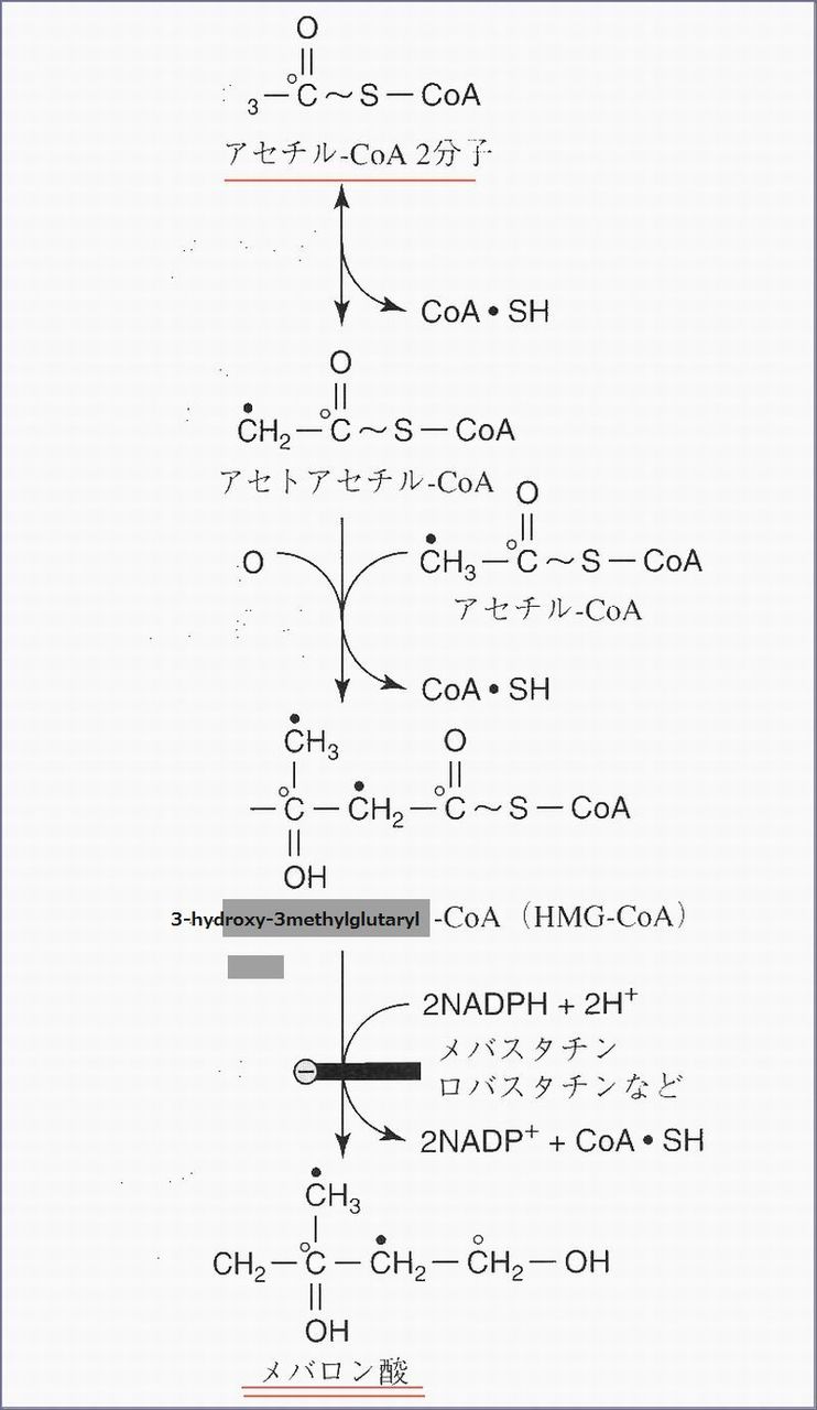 Template:メバロン酸経路