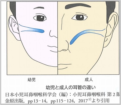解剖2