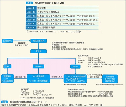 紫斑病性腎炎