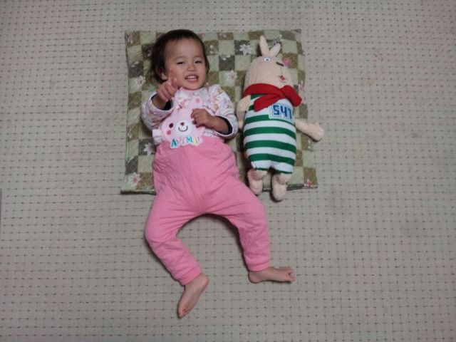 2012年11月 【長嶋万記のバードアイ】 ライブドアブログ