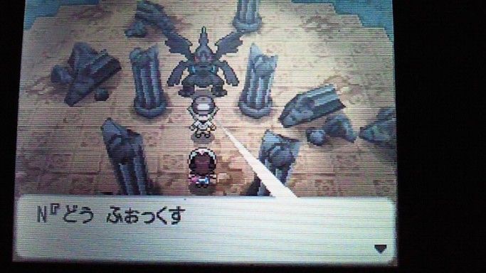 ポケモン ブラック 殿堂入りしてからがスタートなんです 袋いりません ポケモン ブラック 殿堂入りしてからがスタートなんです 袋いりません