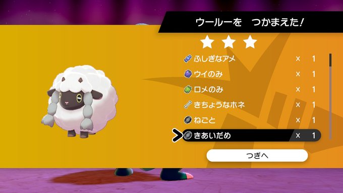ポケモン剣盾が500時間遊べる話 袋いりません ポケモン剣盾が500時間遊べる話 袋いりません
