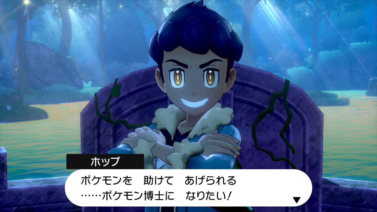 ポケモン剣盾が500時間遊べる話 袋いりません ポケモン剣盾が500時間遊べる話 袋いりません