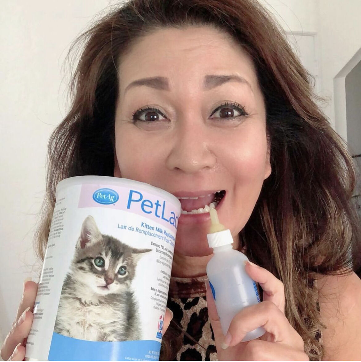 猫のいる暮らし1周年 ハワイ式なら風水も人生もそうとう面白い 永田広美ライフスタイルブログ