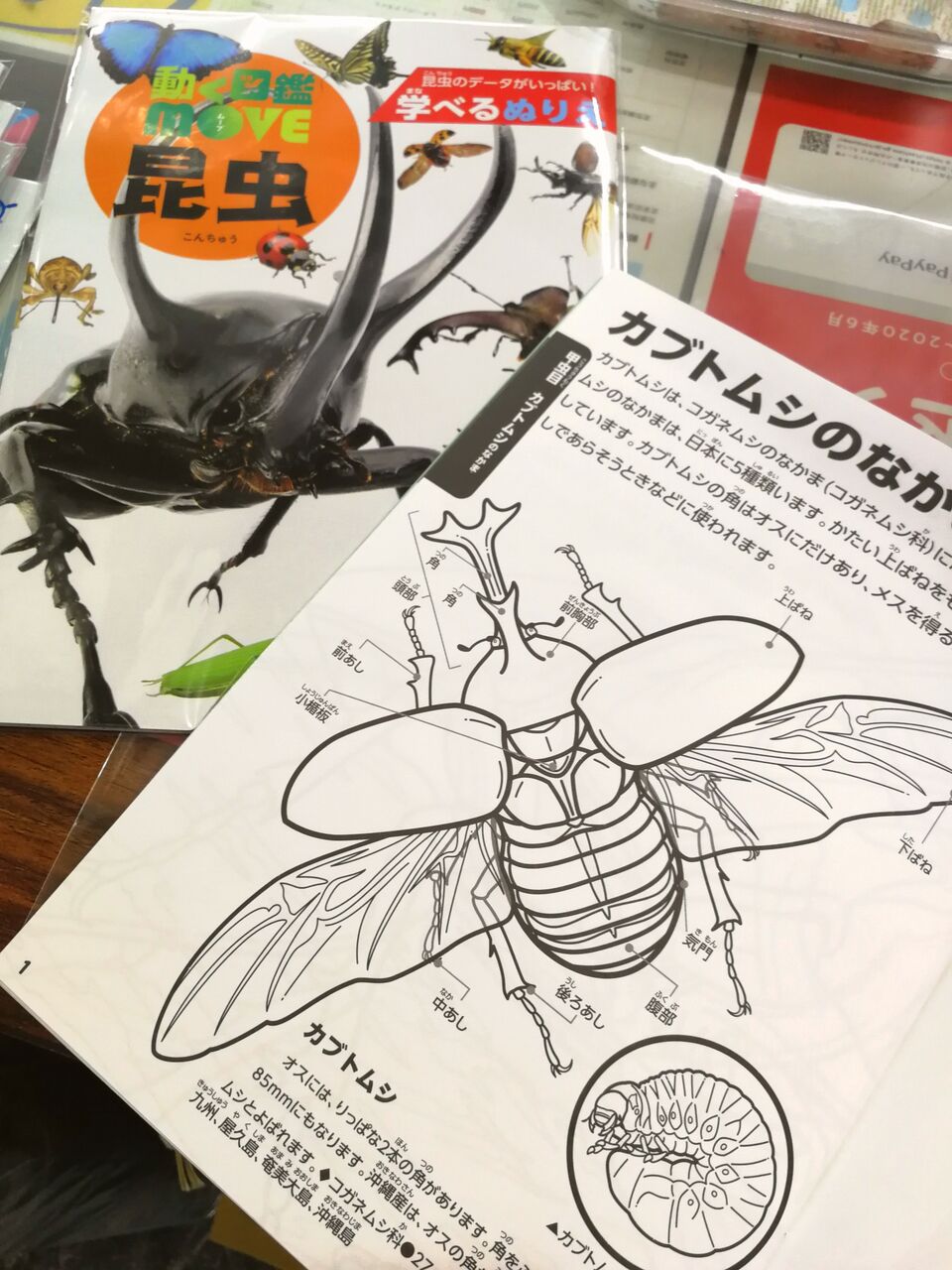 学べるぬりえ 入荷しました 麻布十番 文房具のながとや 学べるぬりえ 入荷しました 麻布十番 文房具のながとや
