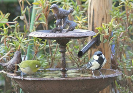 バード バス と は