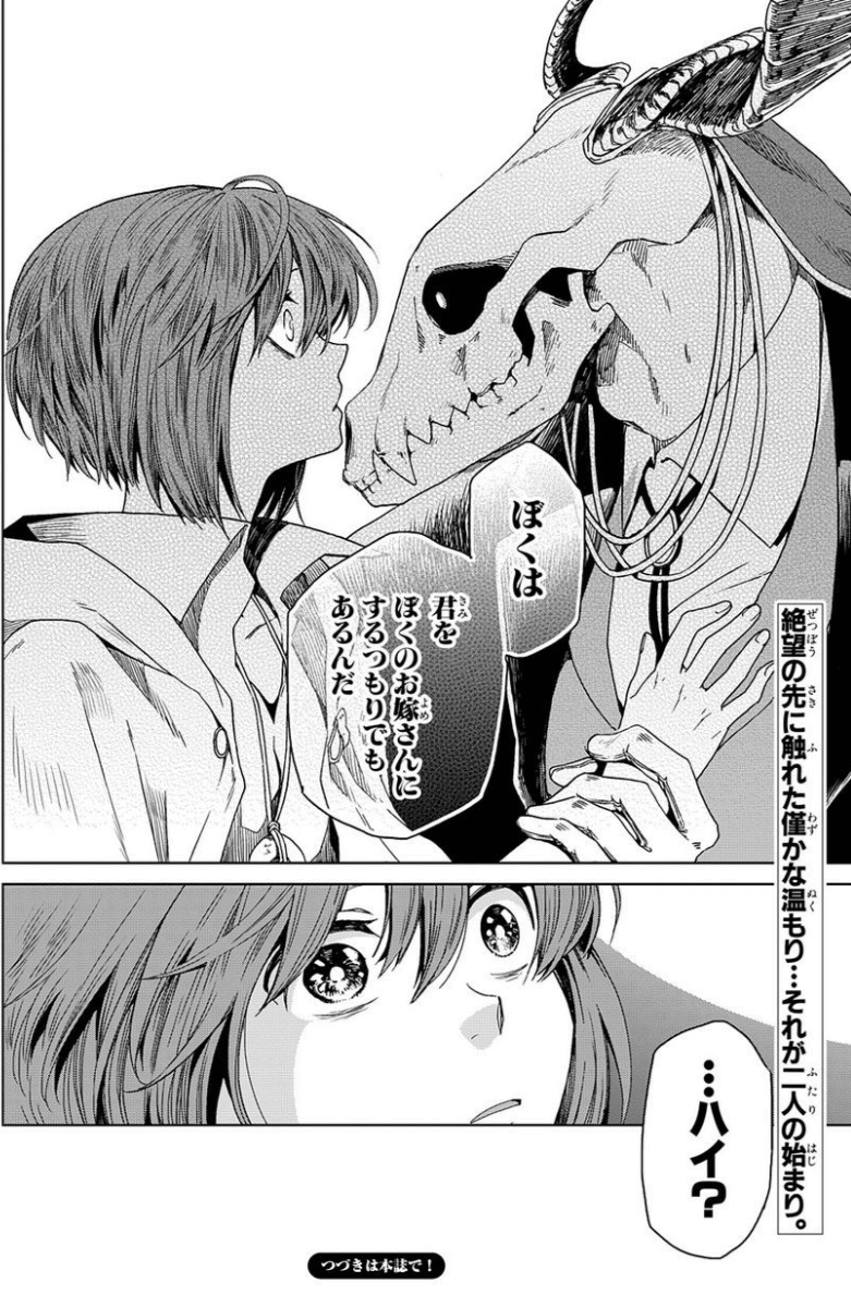 おすすめ漫画 少女と人外の織り成す異色恋愛ファンタジー 魔法使いの嫁 マヨネーズとポン酢 おすすめ漫画 少女と人外の織り成す異色恋愛ファンタジー 魔法使いの嫁 マヨネーズとポン酢