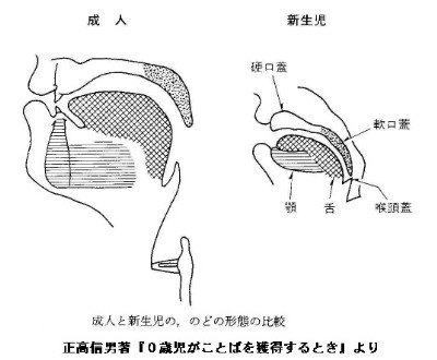 新生児と大人のノド