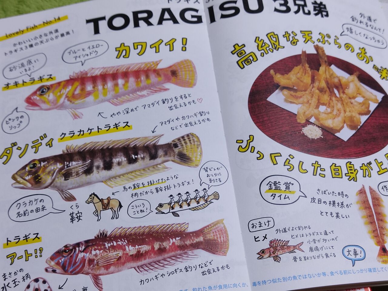 一生幸せになれる料理147 お魚イラストレシピ大百科 投げは友あれ