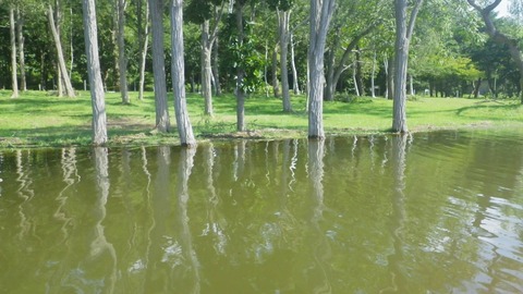 14125504_1025267537589672_7678075034062579870_o