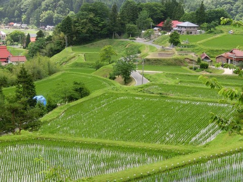 日本画家・柳樂晃里１９０６１２奥出雲の棚田１１