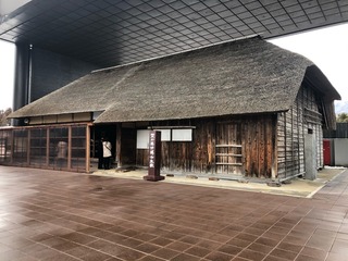 IMG_4599