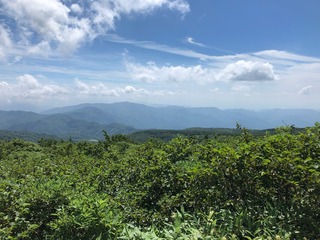 IMG_3137