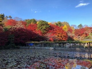 IMG_4227
