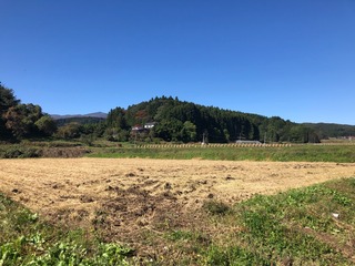 IMG_3972