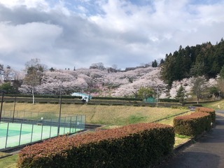 IMG_4807