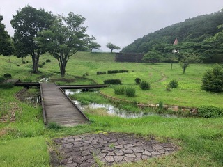 IMG_2710
