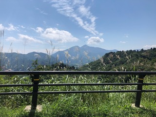 IMG_3335