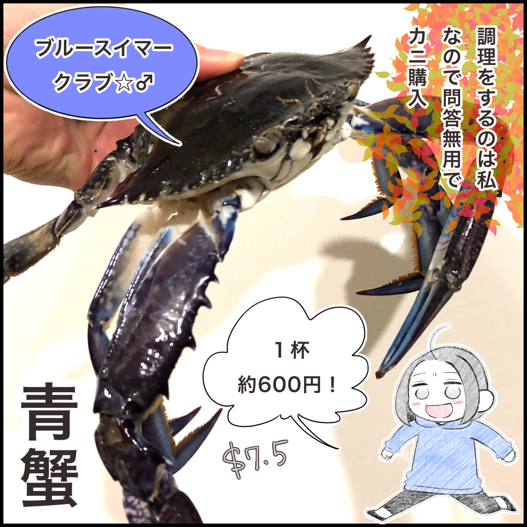 念願購入のオーストラリアの 青いカニ と カニ好き の私の話 みれはきほん日本にいない Powered By ライブドアブログ 念願購入のオーストラリアの 青いカニ と カニ好き の私の話 みれはきほん日本にいない Powered By ライブドアブログ