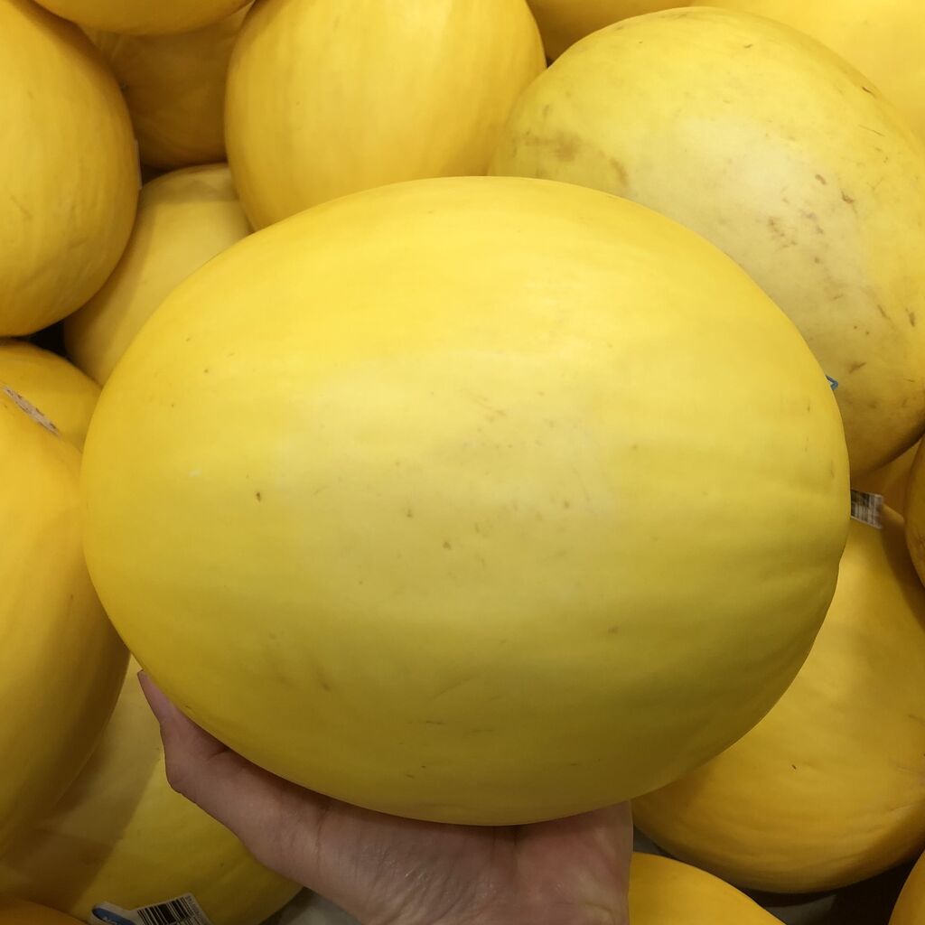 写真更新 オーストラリアなメロンたち みれはきほん日本にいない Powered By ライブドアブログ 写真更新 オーストラリアなメロンたち みれはきほん日本にいない Powered By ライブドアブログ