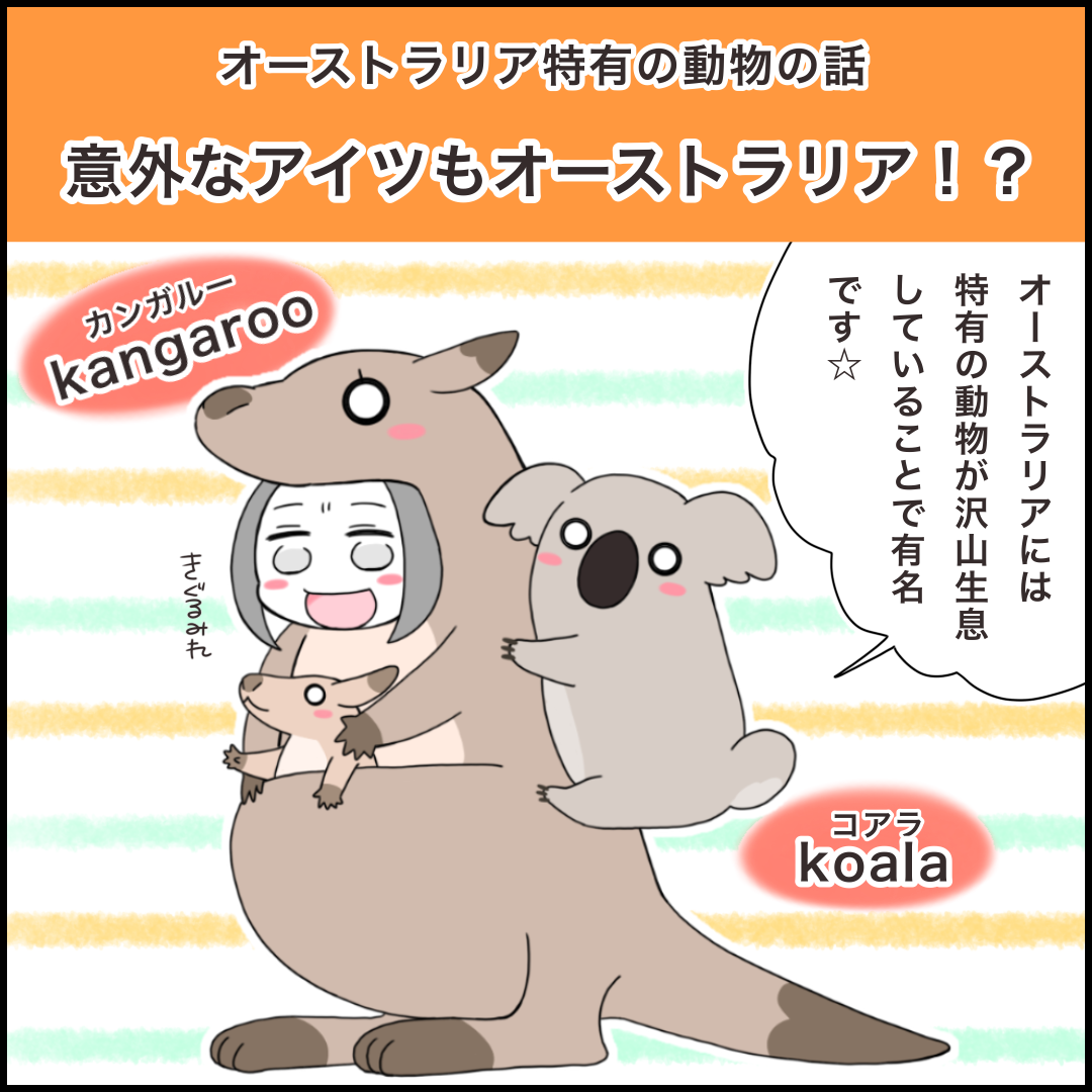 意外な アイツ もオーストラリア出身 な話 みれはきほん日本にいない Powered By ライブドアブログ 意外な アイツ もオーストラリア出身 な話 みれはきほん日本にいない Powered By ライブドアブログ