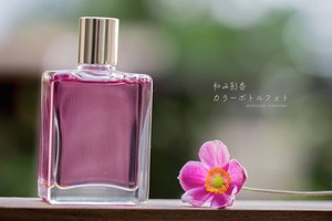 �ᤰ�ߤ��󡡤����鿧���ܥȥ�ե���