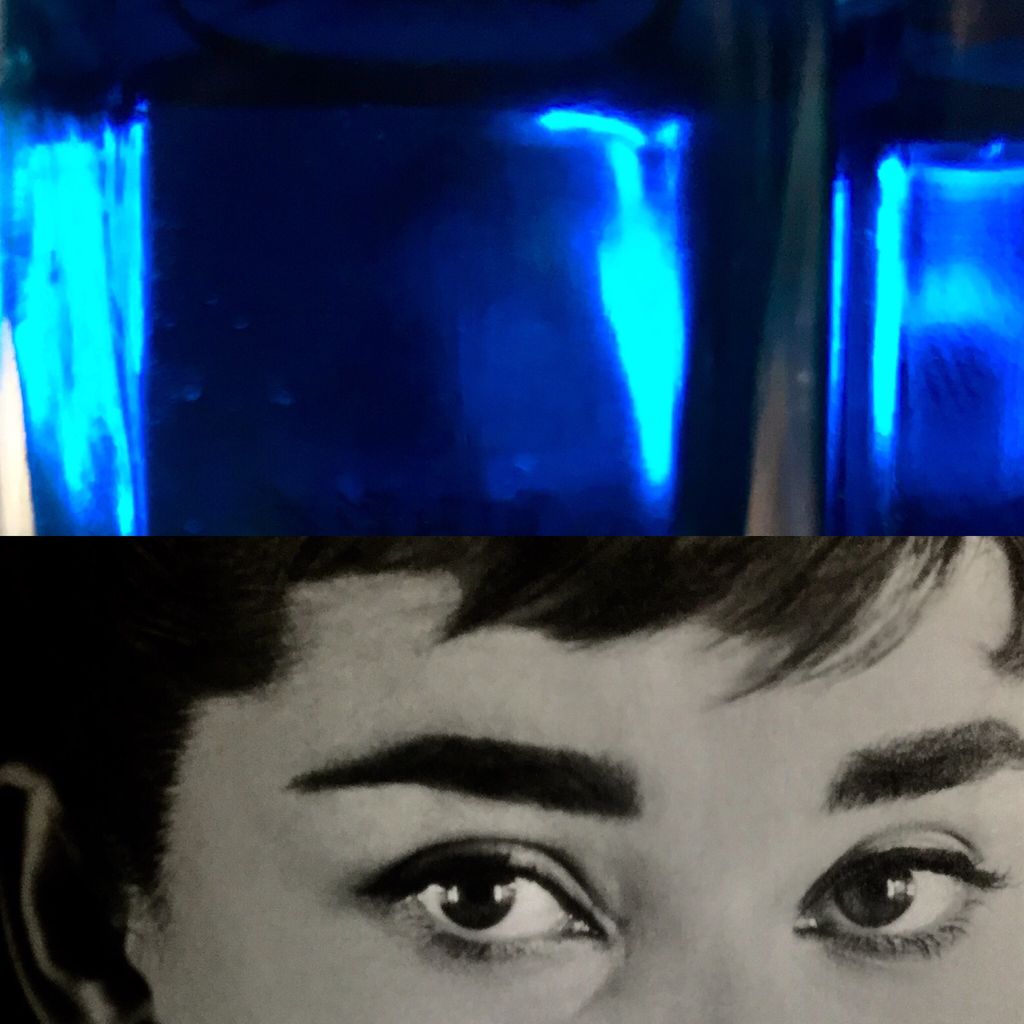 チェストォ リコの和み日記