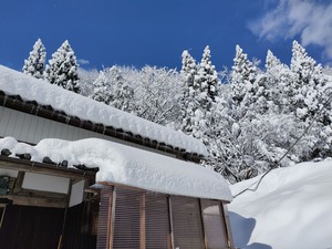 IMG20211219115800