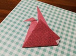 IMG_20191205_145550