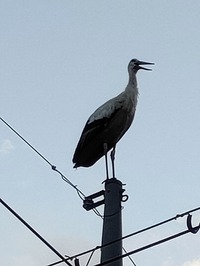 IMG20220904180919