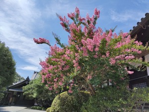 IMG20220724103609