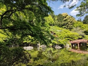 IMG20220503135107_BURST000_COVER