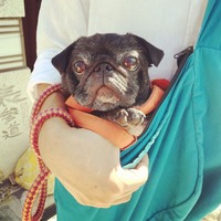 IMG_20191006_145514_197