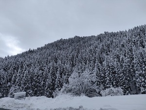 IMG20211219114318