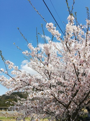 IMG_20200413_225306