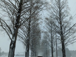 IMG_20220103_105059
