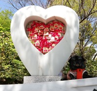 IMG_20210504_145240
