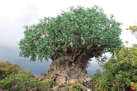 disney-1137179_640