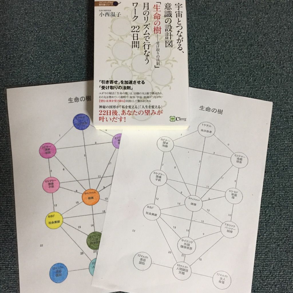 生命の樹講座を受けてきました 岐阜県関市のヨガレッスン 乳がん経験者でもかんたん やさしい