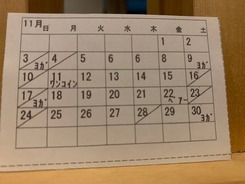 �¤�11��