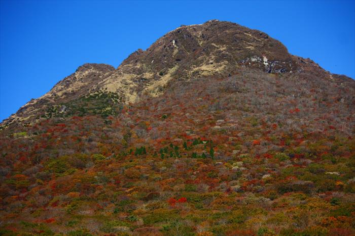 11 由布岳 紅葉まぁまぁ のんびりと