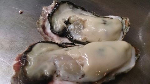 春牡蠣