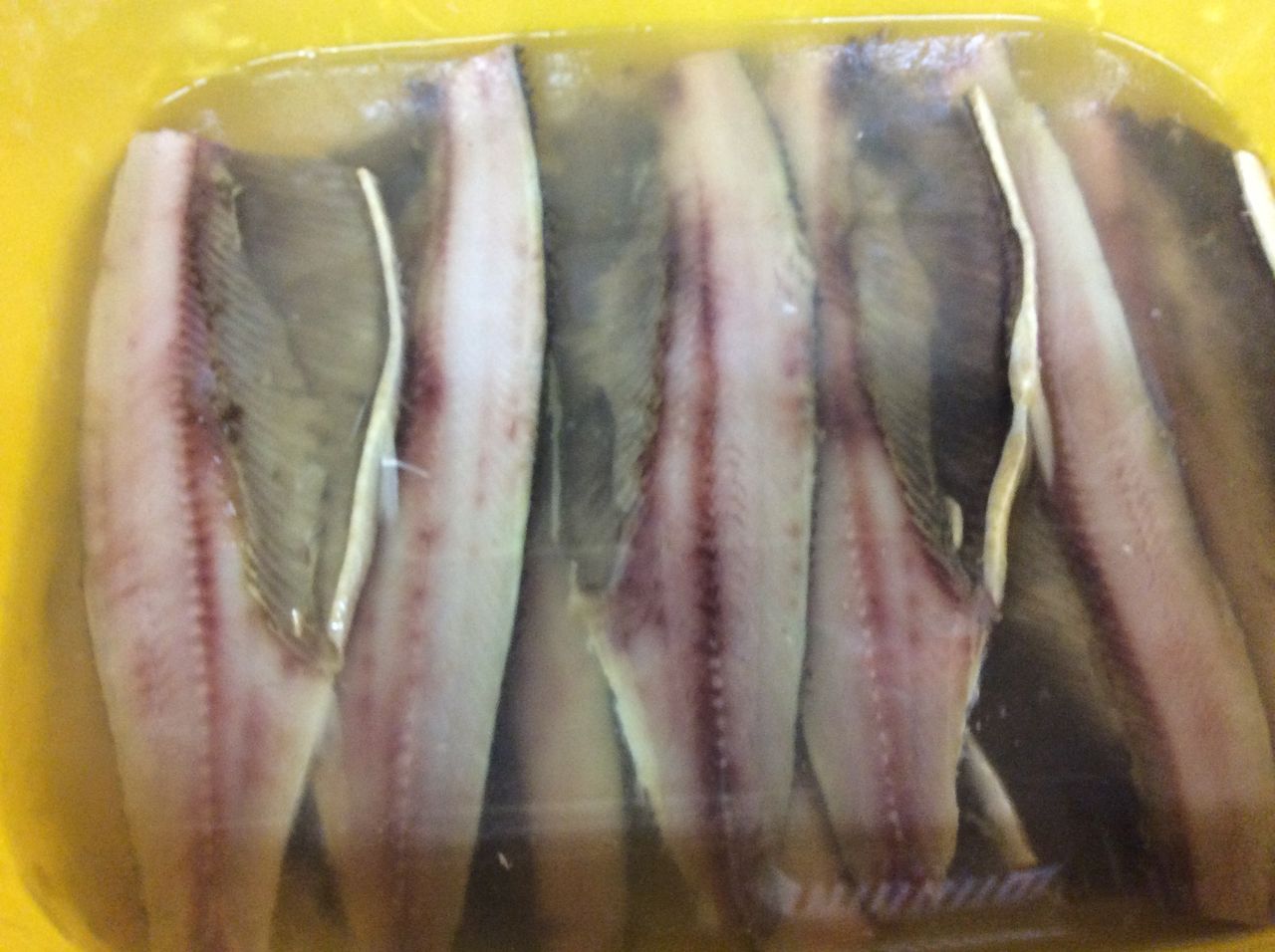 糠にしん を 酢漬けニシン に変身 オランダでニシンは飲み物 札幌牡蠣小屋居酒屋 なごみや一夜