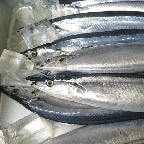 12023878-40FF-4C44-A757-A17A612A9B07