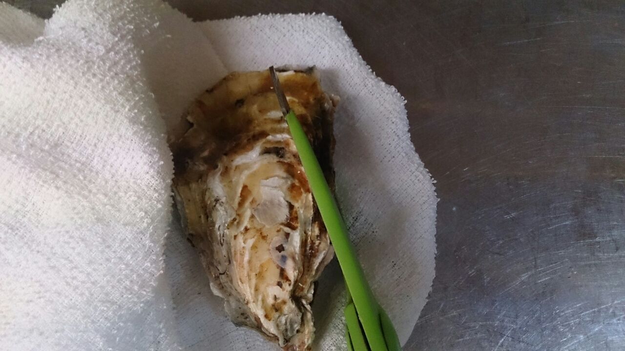 牡蠣の剝き方です これでおうちでも 生牡蠣 Ok 札幌牡蠣小屋居酒屋 なごみや一夜 牡蠣の剝き方です これでおうちでも 生牡蠣 Ok 札幌牡蠣小屋居酒屋 なごみや一夜