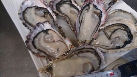 牡蠣