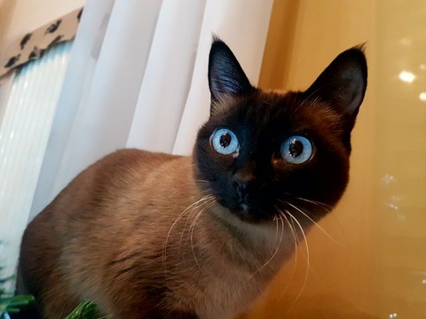 04f3b411.jpg