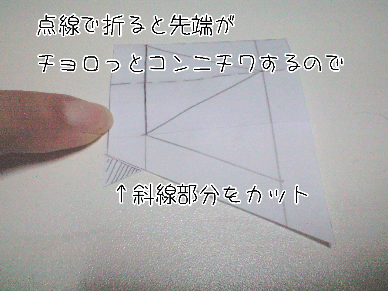 再掲 まきびし師匠 ねこ用まきびしの作り方 ねこまっしぐら なごめるおかると
